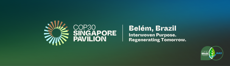 COP30