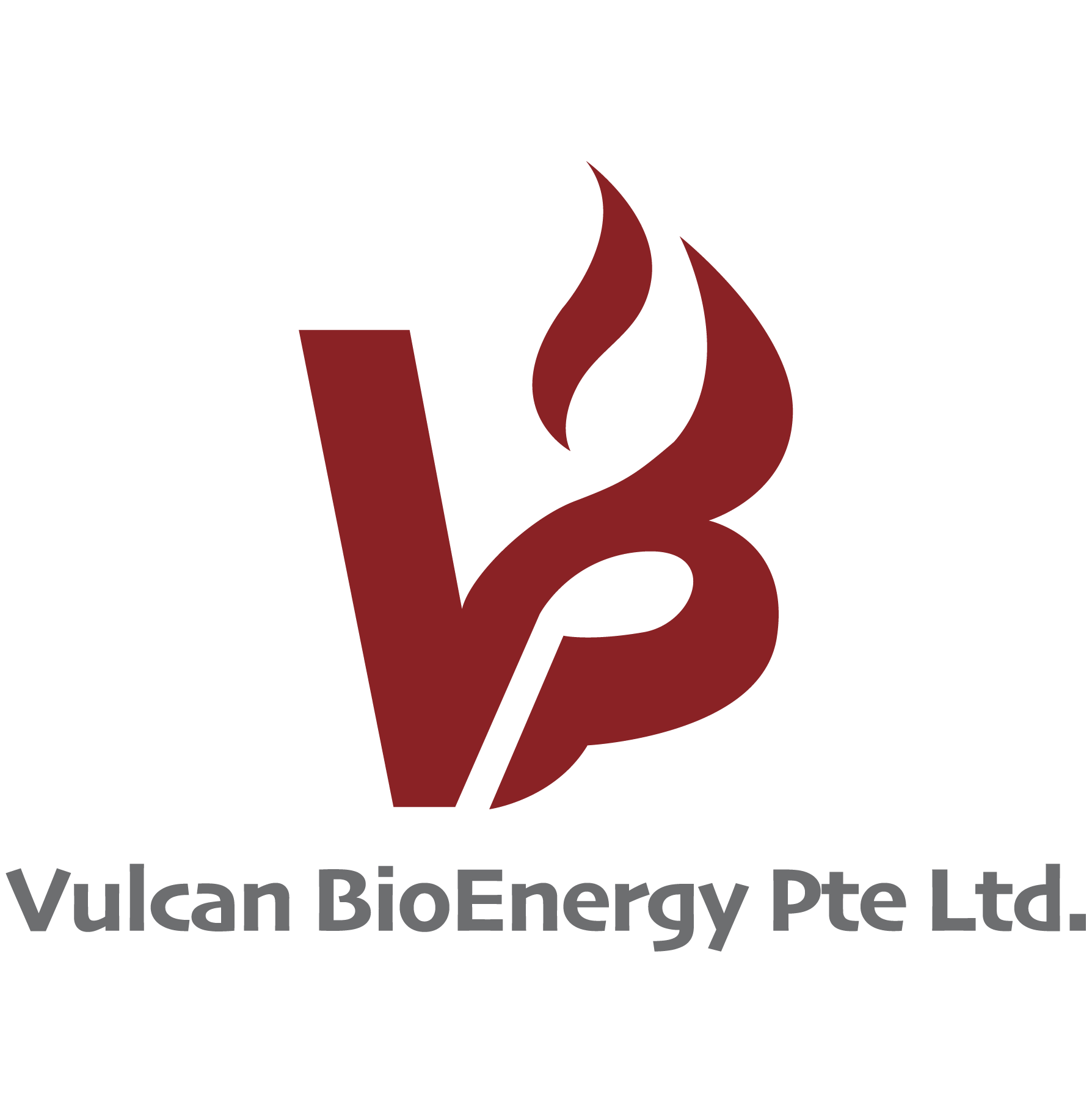 Vulcan Bioenergy
